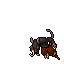 Pirat Cutthroat